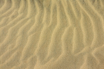 Sand on the beach as background. Dune sand