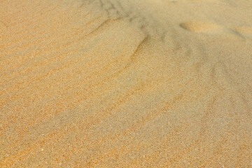 Sand on the beach as background. Dune sand