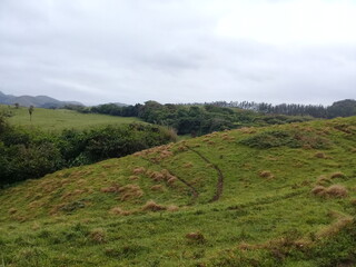 Camino a Punta Roca Partida, Veracruz, México