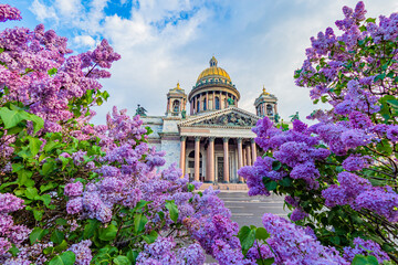 Saint Petersburg visit card. Russia. St. Isaac Cathedral on the background of blooming lilac. Summer in Saint Petersburg. Sights Of Saint Petersburg. Cities of Russia.
