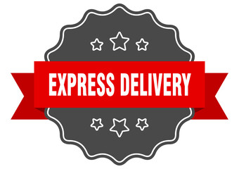 express delivery label. express delivery isolated seal. sticker. sign
