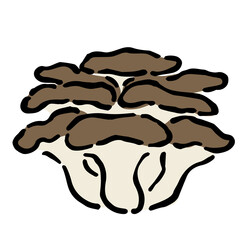 Illustration of Hiratake mushroom: Illustration like hand drawn illustration with ink and brush