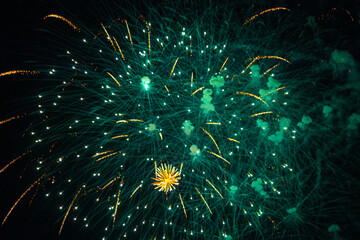 fireworks in the night sky