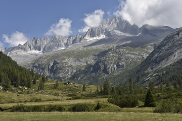 Fototapeta premium Val di Fumo a Daone in Trentino Alto Adige sull'Adamello