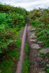 Gas Pipe on the moors