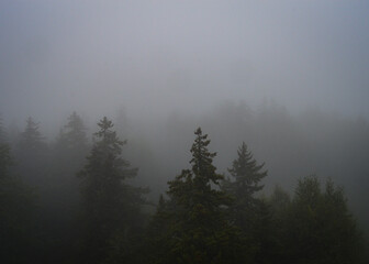 mist in the mountains