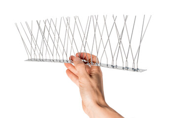 Hand holding single strip of bird spikes. The stainless bird spikes or pins prevent pigeons, sparrows, seagulls, swallows etc. from landing, roosting or nesting.  Concept for humane pest control.
