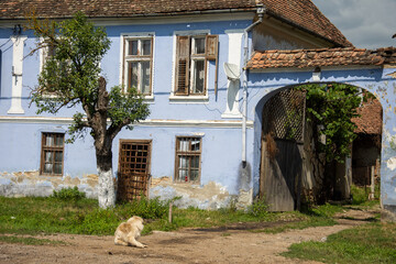 houses painted in blue in Roadeș, Brașov, Romania 2019