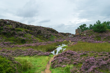 Ilkley Moor