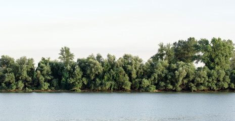 Beautiful view across the river to the forest in the distance