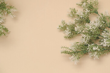 artificial branches of flowers on beige monochromatic background