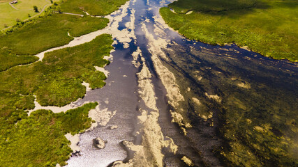 Distant aerial view of a wetland and forest in summer