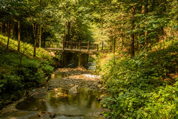 Fototapeta premium Shallow man made terraced stream through recreational forest