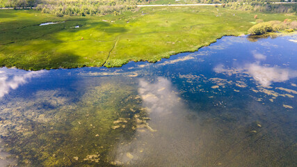 Distant aerial view of a wetland and forest in summer