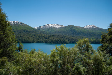 Fototapeta na wymiar Patagonian lake surrounded by pine forests and snowy mountains in the background