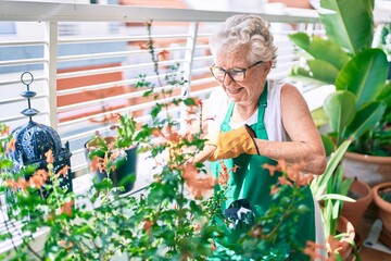 Senior woman with grey hair wearing gloves and gardener apron gardening the plants at home