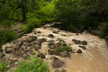 Stream with a rocky bed flowing along the tropical rainforest.