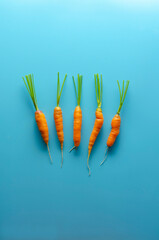 carrots isolated on a blue background. World Vegetarian