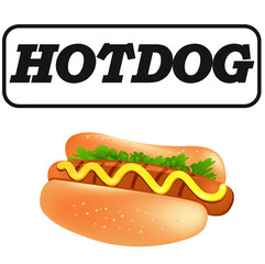 hot dog vector illustration