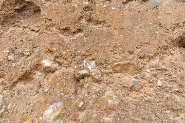 Texture and background of earth and stone