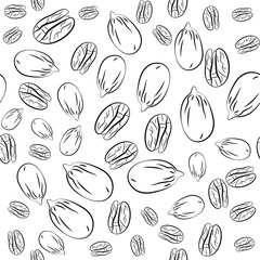 Pecan Vector illustration in hand drawn style Line seamless pattern with kernels and whole pecan nuts
