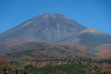 Fototapeta premium 富士山の秋
