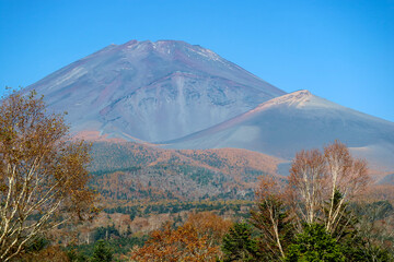 Fototapeta premium 富士山の秋