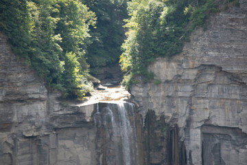 waterfall in the woods