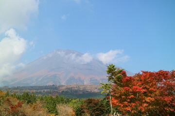 Fototapeta premium 富士山の秋