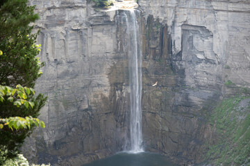 Bird flying by a waterfall