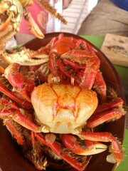 cooked crab on a plate