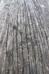 Obraz premium old wood texture