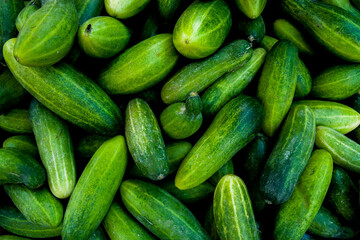 Market: Freshly Picked Cucumbers For Sale
By Wyn Auge Studio