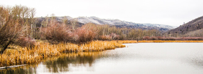 Hunting pond in Idaho