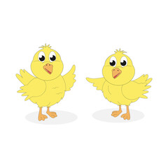illustration vector graphic of cute chick animal character cartoon isolated, perfect for cover, book, birthday card, gift card, wrap paper, sticker, t-shirt, memo, decoration