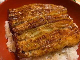 grilled  fish