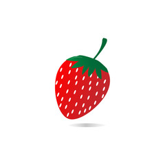simple vector illustration of fruit