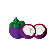 simple vector illustration of fruit