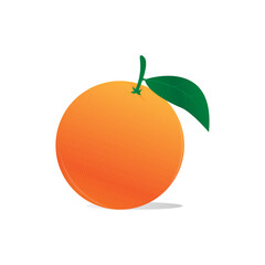 orange fruit simple vector illustration