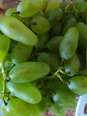 green beans on the vine