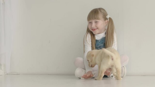 Little girl sits and calls to her Labrador puppy