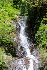 Fototapeta na wymiar Waterfall on Quebrada Londres in Pico Blanco, Escazu, Costa Rica