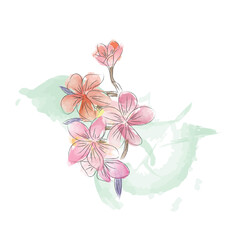 flower in watercolor