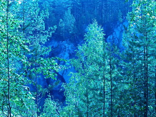 Autumn forest on the lake Talkov stone. Talkov Stone is a beautiful lake located in the spurs of...