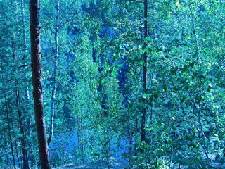 Autumn forest on the lake Talkov stone. Talkov Stone is a beautiful lake located in the spurs of...