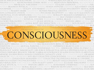 consciousness
