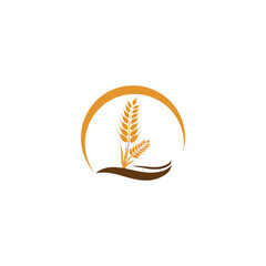 Wheat Logo Template vector symbol
