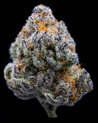 Marijuana Cannabis on Black Background