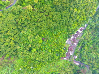 Aerial Greenery 