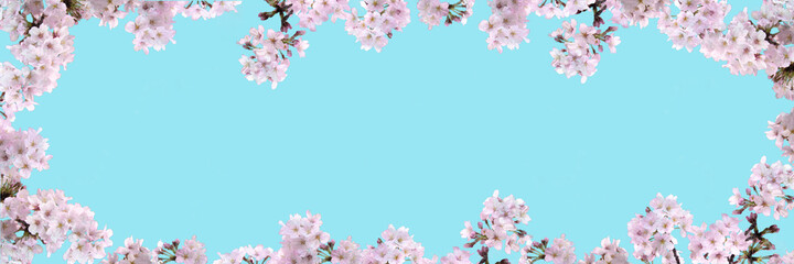 Obraz na płótnie Canvas 桜の花のフレーム画像